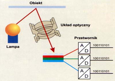 Błąd